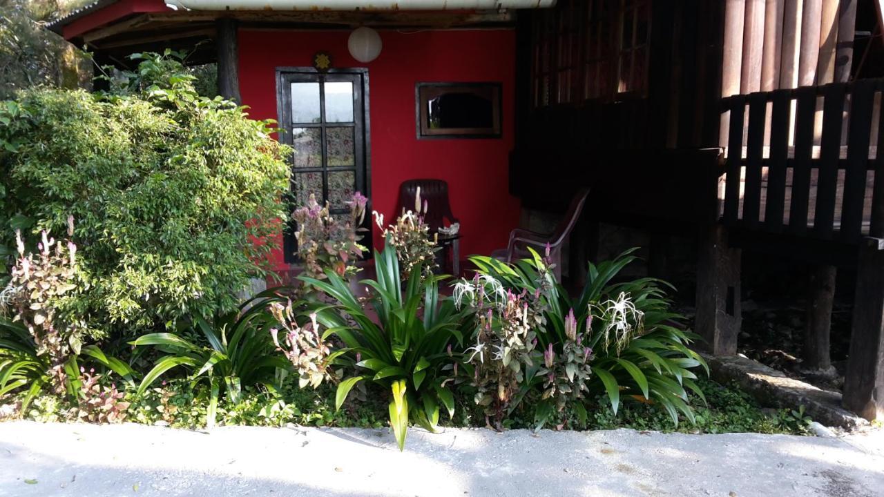 Liberta Homestay Tuk Tuk Dış mekan fotoğraf